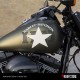 Harley Star